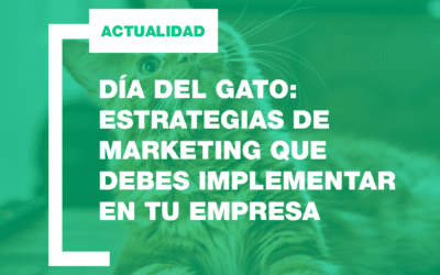Día del Gato: Estrategias de marketing que debes implementar en tu empresa