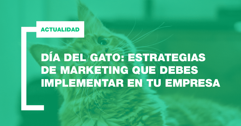 día_del_gato día_del_gato